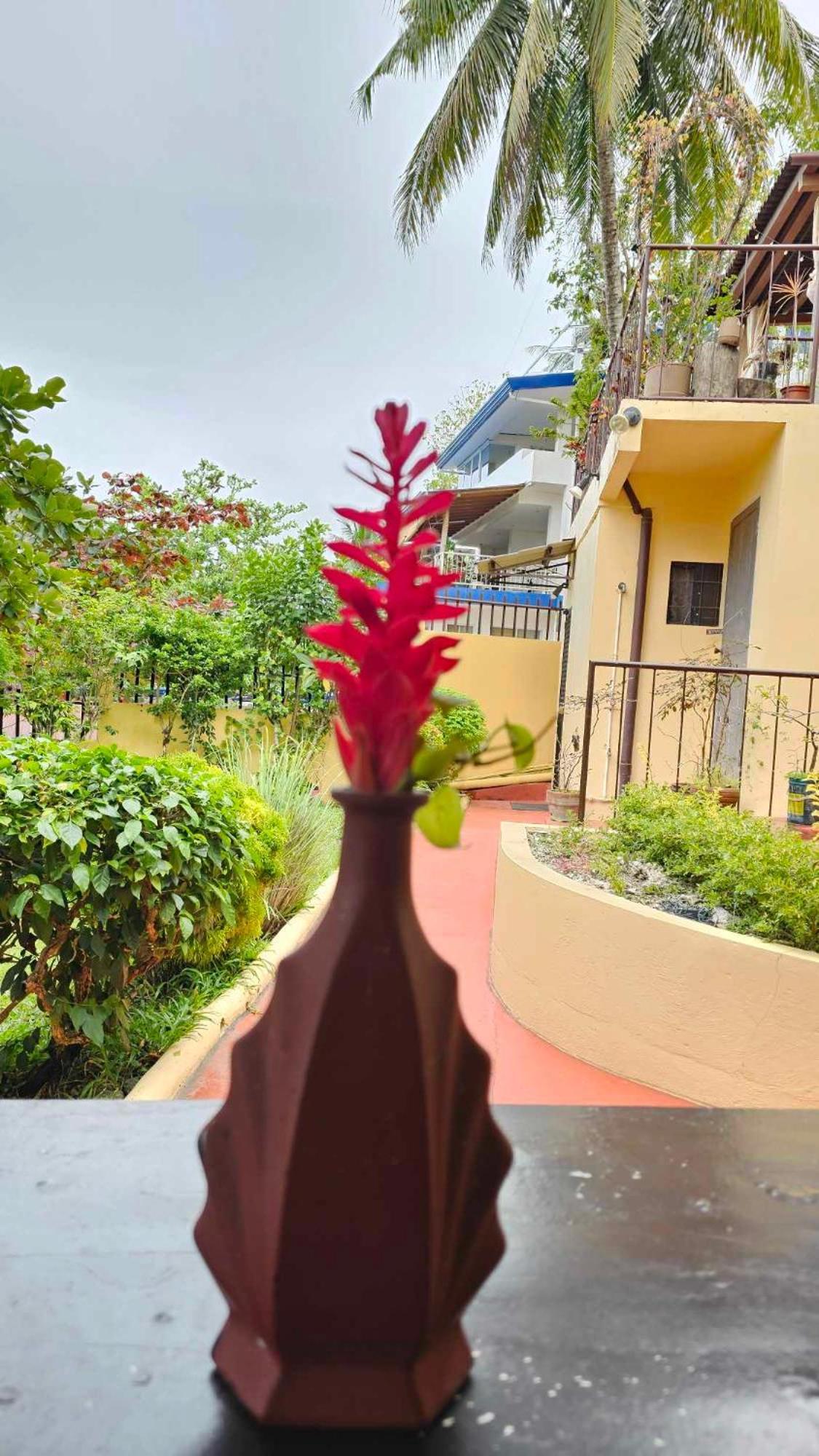 Davao City Eagles Nest Beach Resort מראה חיצוני תמונה